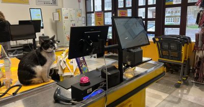 Каса 2в1: інноваційні рішення компанії TA-DA! в оптимізації обслуговування клієнтів